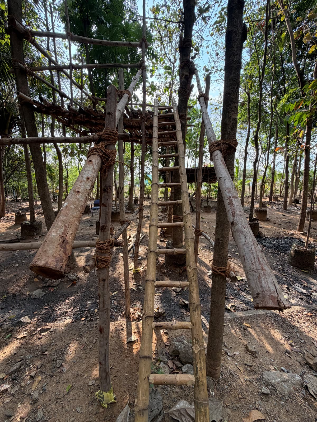 Tree House